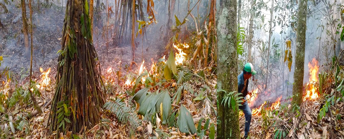 Focos de calor e incendios en ascenso obligan a declarar Emergencia Departamental en Beni