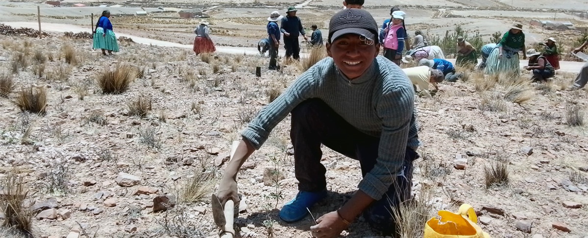 Comunidades de Calamarca se movilizan en torno a la forestación