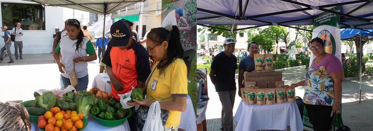 Primera Feria Agroecológica en Cobija une consumidores y productores en pro de una alimentación sana, justa y diversa