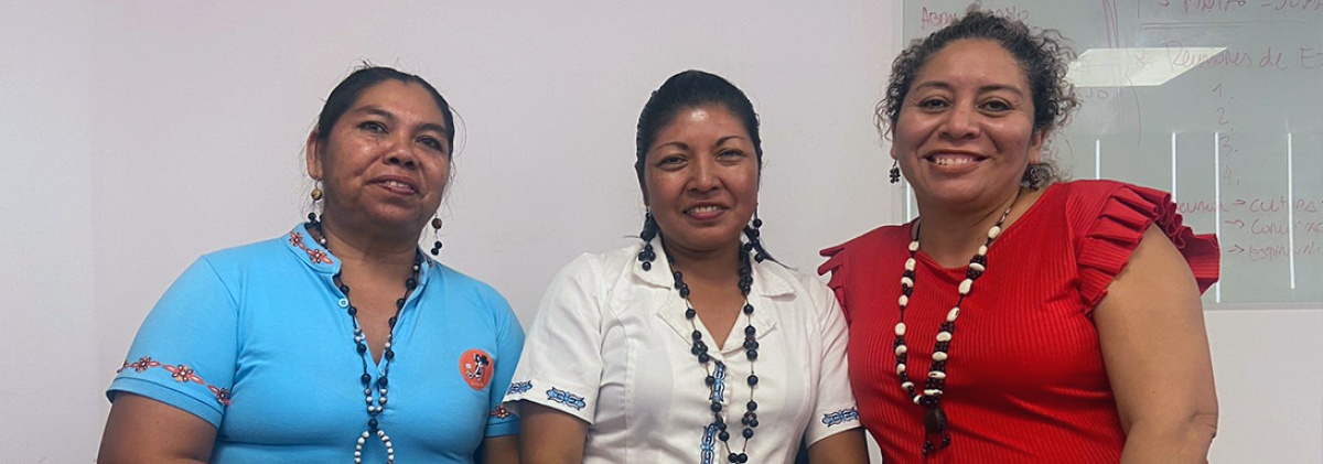 Comité Internacional del XI FOSPA: Las mujeres indígenas y su percepción social del XI FOSPA.
