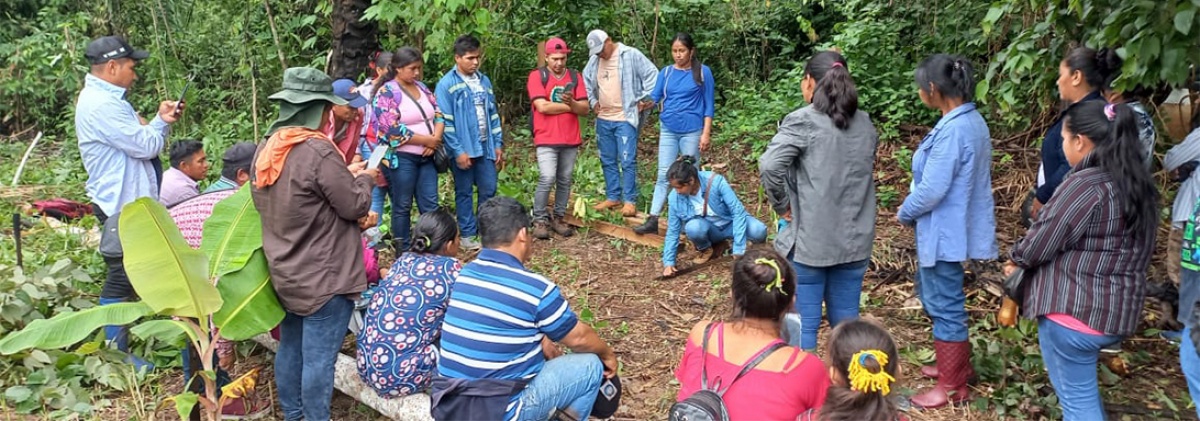 Empoderamiento para la sostenibilidad: CIPCA Norte Amazónico concluye programa de formación de Gestores Agroecológicos y Forestales en el municipio de Gonzalo Moreno de Pando