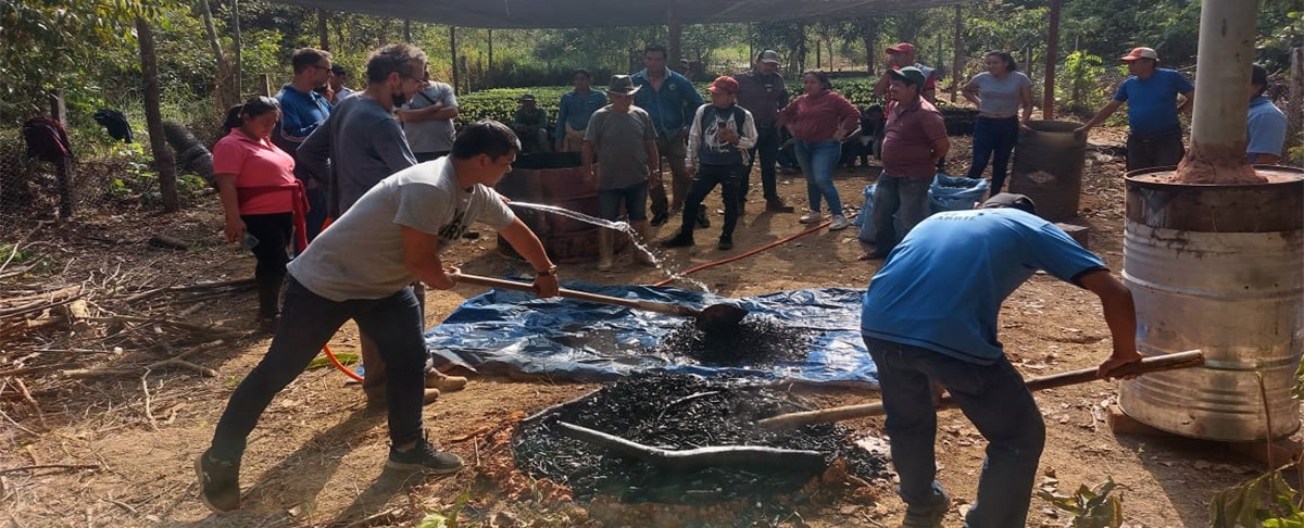 Productores de Medio Monte, Riberalta y Gonzalo Moreno se capacitan en prácticas agroecológicas