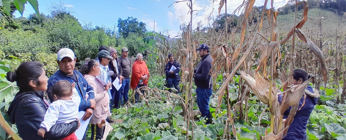 Gestores agrícolas del Gobierno Indígena de Kereimba Iyambae se forman bajo enfoque de Agroecología