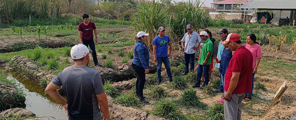 Fortaleciendo la Ganadería Regenerativa: Productores lecheros de Beni en Jornadas de Monitoreo Ambiental y Cambio Climático