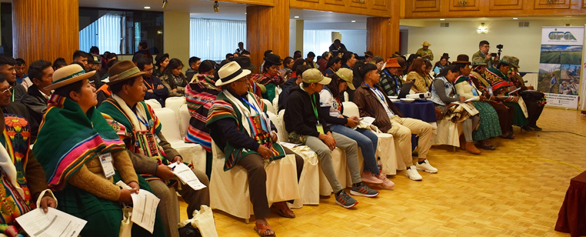 Primera jornada del Encuentro Nacional "Construyendo Agendas Comunes desde Miradas Plurales: Bolivia hacia el Bicentenario"