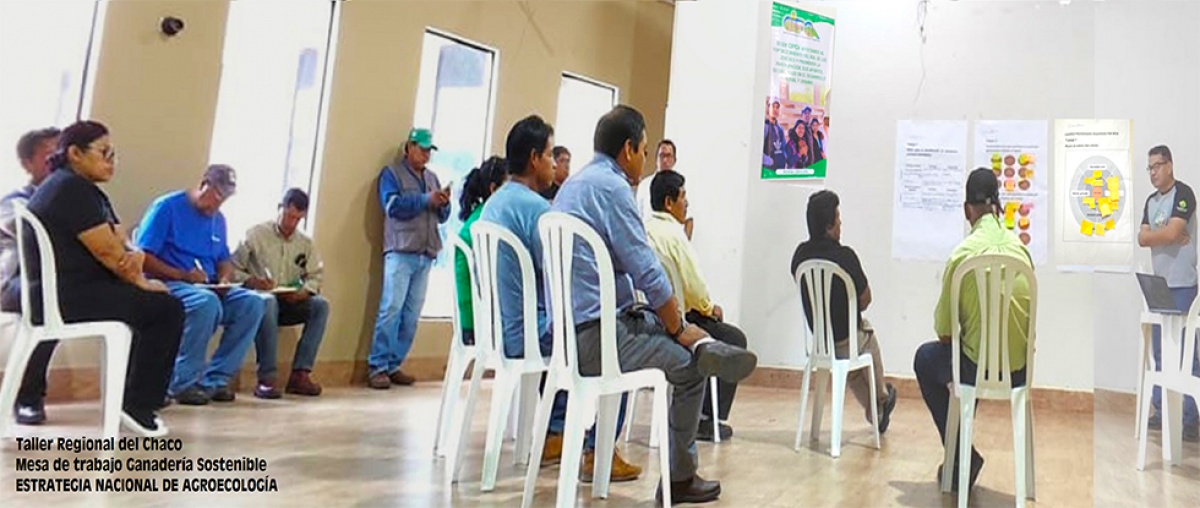 Evidencias agroecológicas desde la Amazonía, Chiquitanía y Chaco: Contribuciones clave para la Estrategia Nacional de Agroecología en Bolivia.