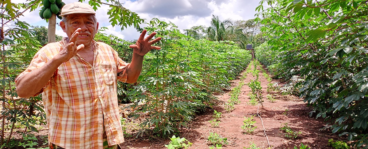 Paulino Aponte Reyes: Un ejemplo de resiliencia y producción agroecológica en Palmarito de la Frontera