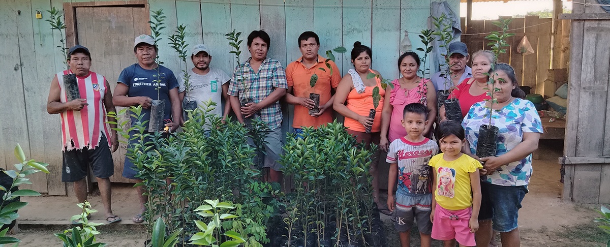 Plantines para el cambio: familias del TIM avanzan hacia la agroecología