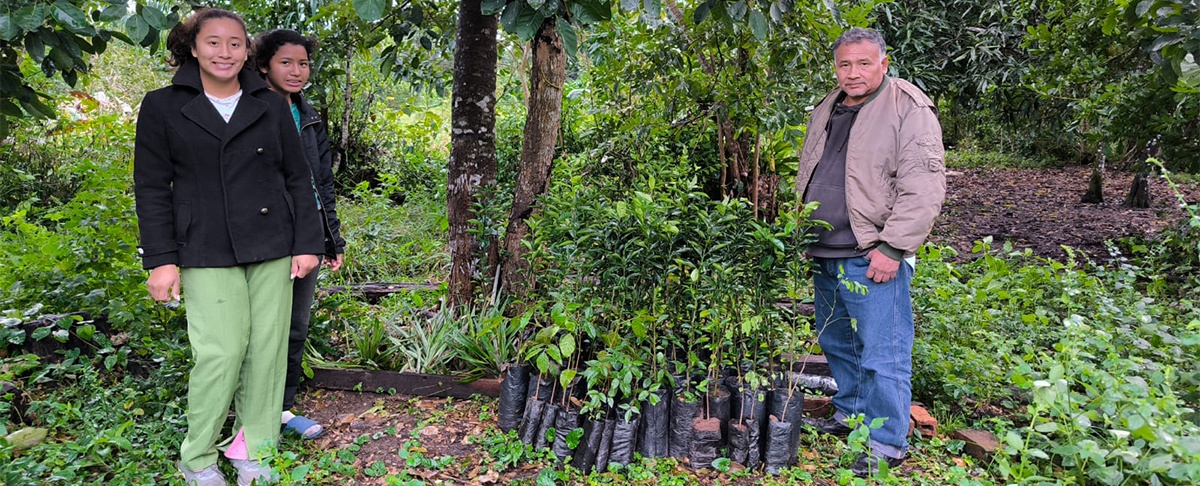 Familias productoras de Beni fortalecen sus sistemas agroforestales con la entrega de plantines