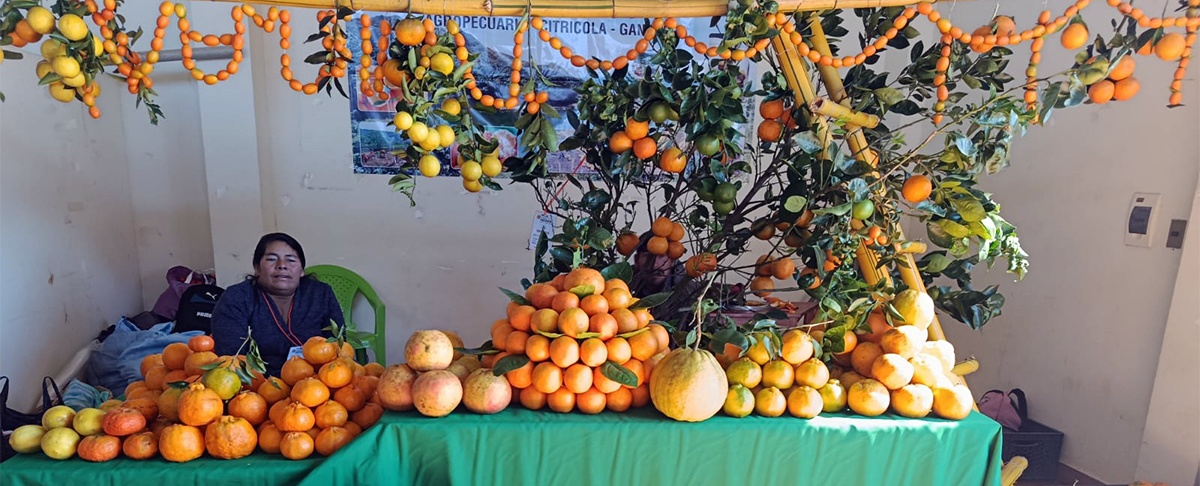 XVII Feria Departamental de la Naranja en Huacareta impulsa la producción citrícola en Chuquisaca