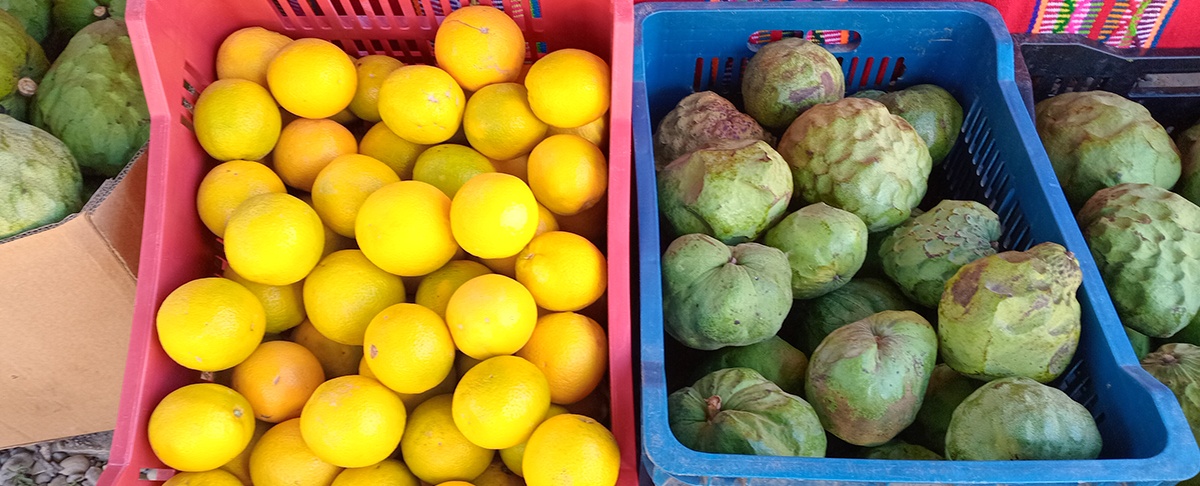 Añahuani celebra su primera feria ecológica de la chirimoya y la miel, impulsando la producción local con identidad