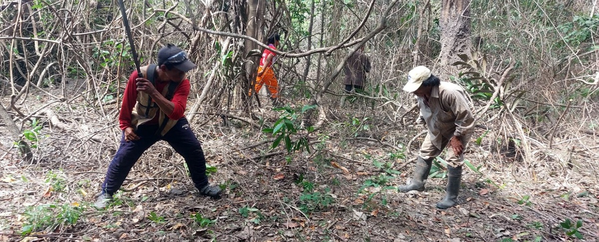 Comunidades de Riberalta se organizan para prevenir incendios forestales tras la devastación de más de 100 mil hectáreas en 2024