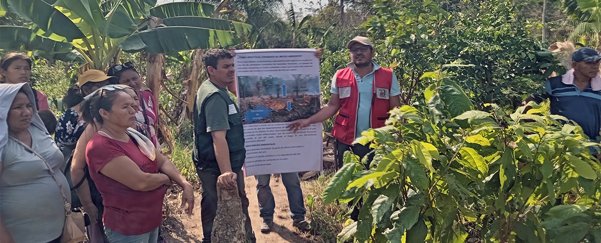 Producción sostenible: experiencias en SAF chaco sin quema muestran que otra agricultura es posible