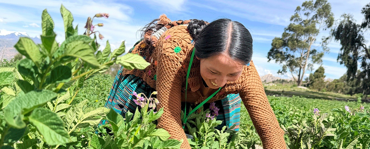 Proyecto Raíces Agroecológicas inicia actividades en favor de la soberanía alimentaria y la agrobiodiversidad en Bolivia
