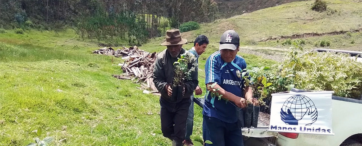 Comunidades del municipio de Independencia inician campaña de forestación para proteger zonas de recarga hídrica