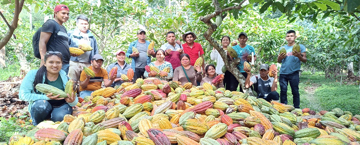 Productores agroecológicos fortalecen capacidades productivas en intercambio de experiencias en la Amazonía boliviana