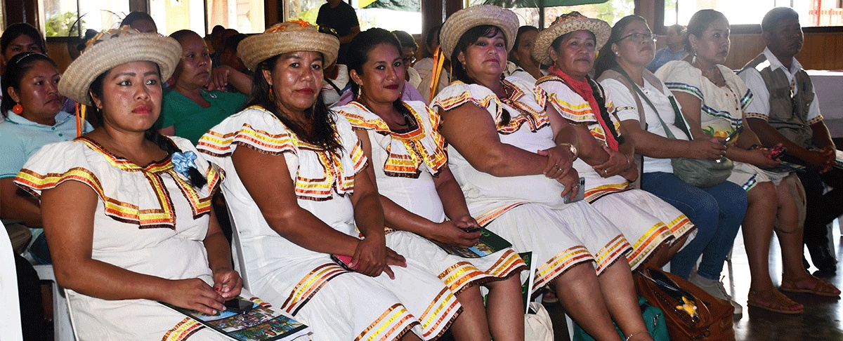 Pueblos indígenas, originarios y campesinos avanzan en la construcción de una agenda nacional para la defensa de la tierra y el territorio