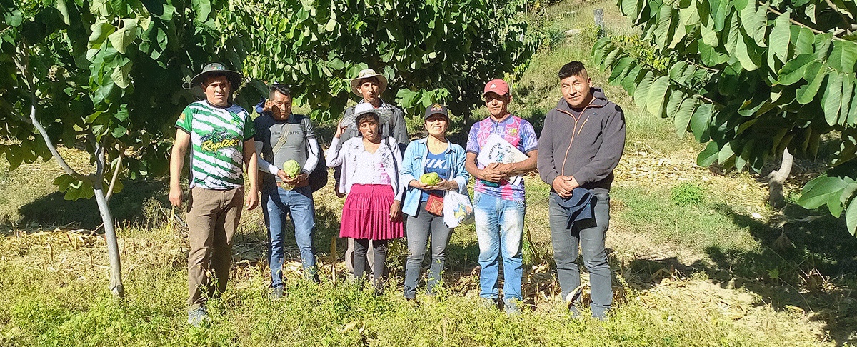 Comunidad de Añahuani fortalece la producción agroecológica y la economía local con la segunda feria de la chirimoya y la miel