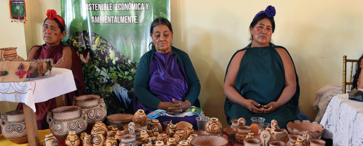 Del barro, la palma y la miel al mercado: FEXPO Chaco Sur 2026 visibiliza el potencial productivo, cultural y económico del Chaco