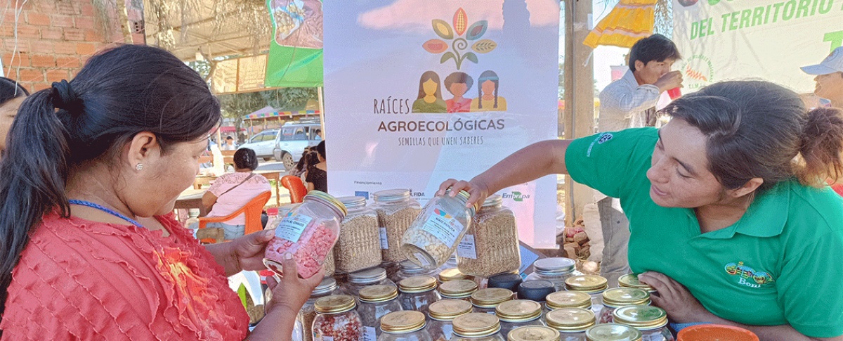Proyecto Raíces Agroecológicas impulsa la conservación de semillas nativas y fortalece la agrobiodiversidad en San Ignacio de Moxos