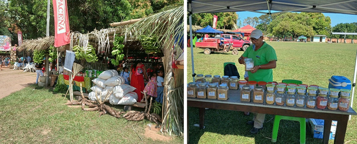 Productores de comunidades de Baures visibilizan su producción, cultura y agrobiodiversidad en la XVI Feria de la Tradición Baureña