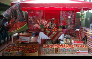 La producción de manzana pojeña se promociona en la Segunda Feria de la Manzana