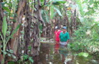 Se declara alerta roja en Riberalta por el número de damnificados por inundaciones