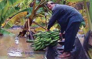 CIPCA presentará a los medios sistematización sobre las inundaciones de 2014 en la Amazonía boliviana