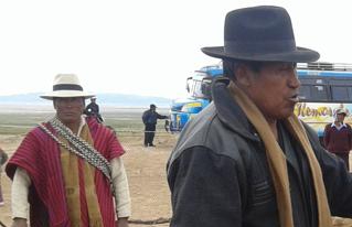 San Andrés de Machaca mostró sus mejores ejemplares de llamas en la VI Feria Municipal de camélidos