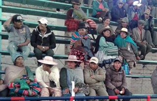  Productores y organizaciones de quinua y camélidos en estado de emergencia