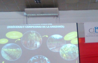 Instituciones del Beni debaten sobre los bosques amazónicos
