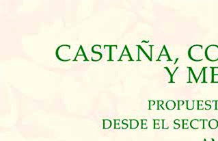 CIPCA publica la investigación  “Castaña, condiciones laborales y medio ambiente” con propuestas de incidencia pública