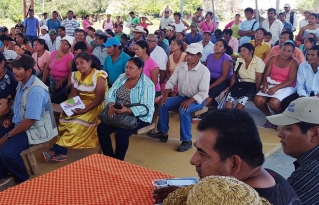 Bosque Tsimane: avanzada intercultural amenaza al Territorio Indígena Multiétnico TIM