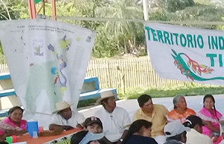 Corregidores del Territorio Multiétnico TIM reafirman sus derechos sobre el bosque ancestral Tsimane