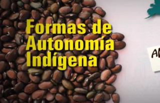 Video: "El estado de situación de las autonomías indígenas en Bolivia al 2018"