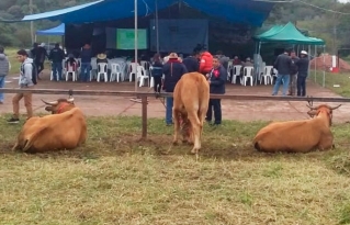 Productores e instituciones del Chaco proponen conformar plataforma para fortalecer la producción ganadera sostenible