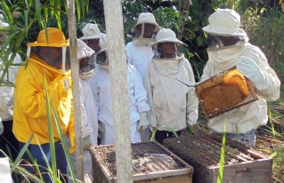 Asociaciones productivas de la Amazonía intercambiaron experiencias en producción agroecológica