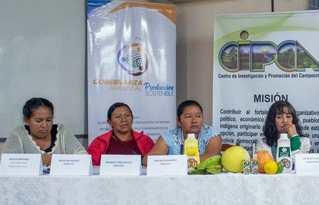 Mujeres indígenas empoderadas y libres de violencia, un desafío para CIPCA
