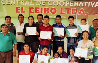 Jóvenes indígenas de la Amazonía sur se capacitan en técnicas de injerto en cacao