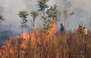 Chiquitanos de San Ignacio ya perdieron 80% de cultivos por incendios