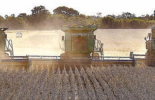 Gobierno mantiene expansión de frontera agrícola
