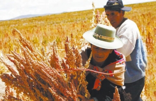 Agro familiar tiene 10 años para elevar contribución