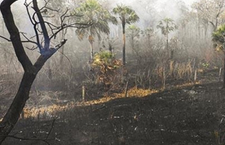 Sociedad civil pide al Gobierno incrementar aspiraciones climáticas