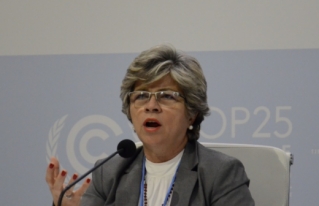 Ambientalistas e indígenas rechazan anuncio de Gobierno para retomar propuesta sobre bonos de carbono