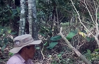 Investigaciones de CIPCA fueron difundidas en VI Congreso Nacional de Sistemas Agroforestales