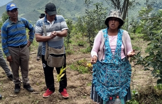 Plataforma de Suelos Altiplano y Valles interandinos plantea el fortalecimiento de la producción agroecológica
