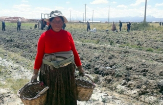No hay cuarentena para las mujeres rurales del Altiplano 