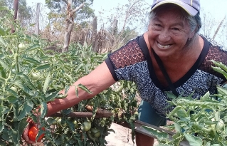 Desabastecimiento y pérdidas de productos son algunas dificultades que viven municipios de la Amazonía Sur