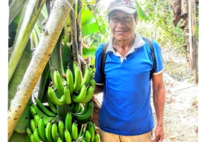 Mojos: AAIAS y Subcentrales TIM y TIMI ponen en marcha el plan de acopio, comercialización y abastecimiento de productos de la agricultura familiar