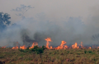Focos de quema alertan sobre alto riesgo de incendios en la Chiquitania